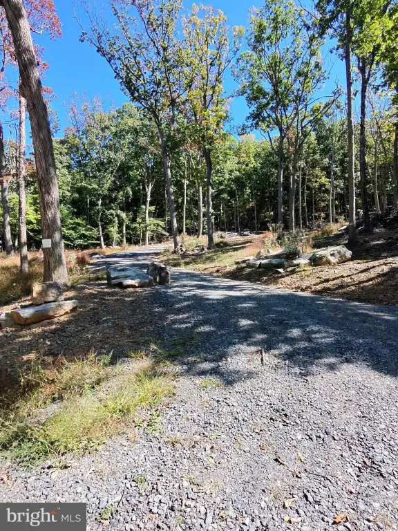 Picture 15
