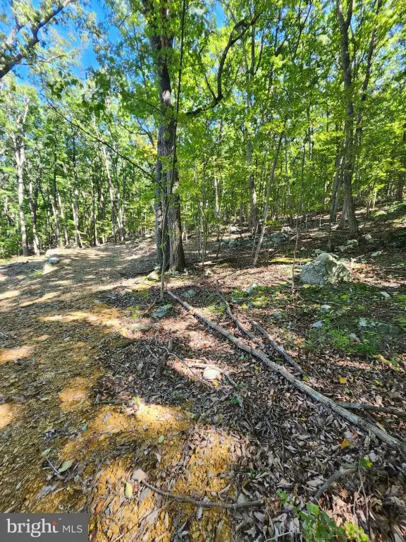 Picture 36