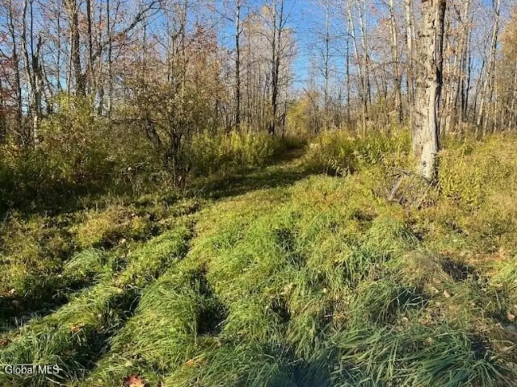 Picture 9