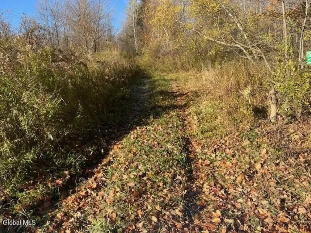 Picture 13