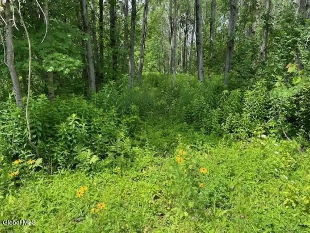 Picture 31