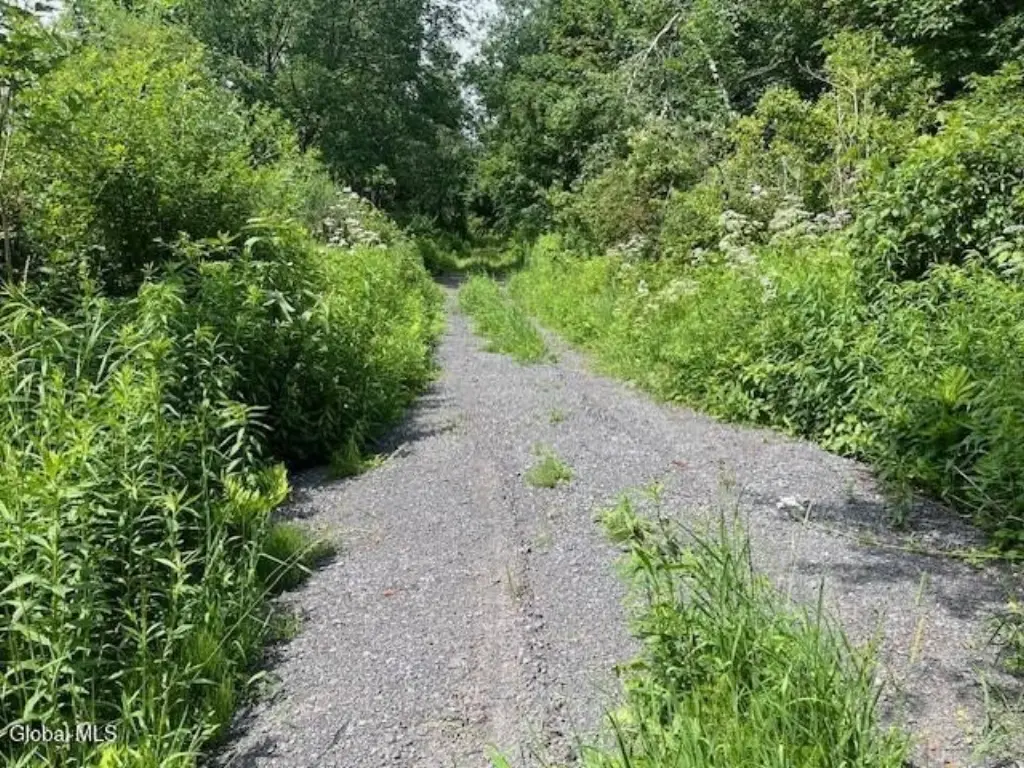Picture 28