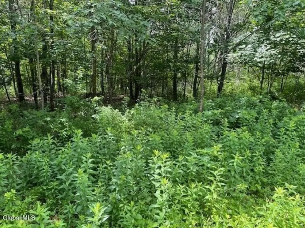 Picture 38