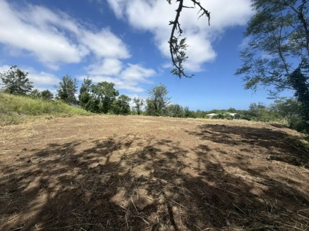 Picture 16