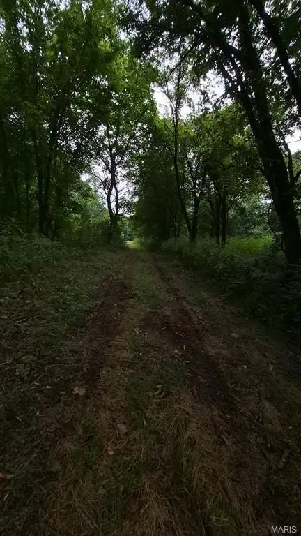Picture 25