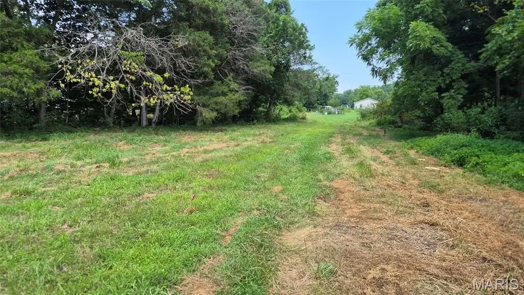 Picture 29