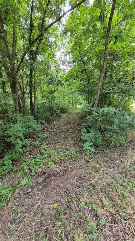 Picture 26