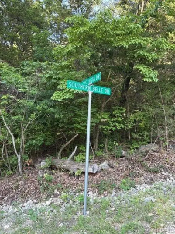 Picture 5