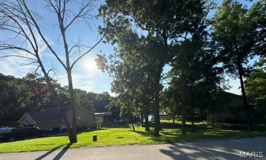 Picture 4