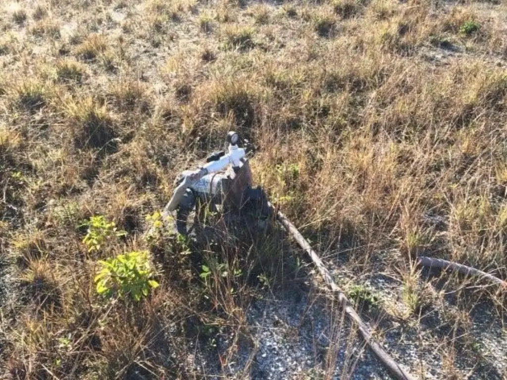 Picture 6