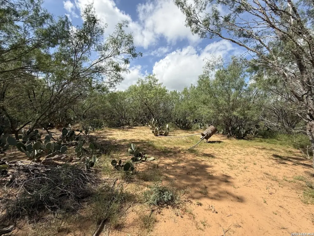 Picture 26