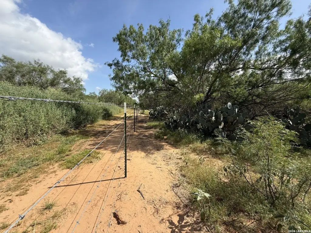 Picture 23