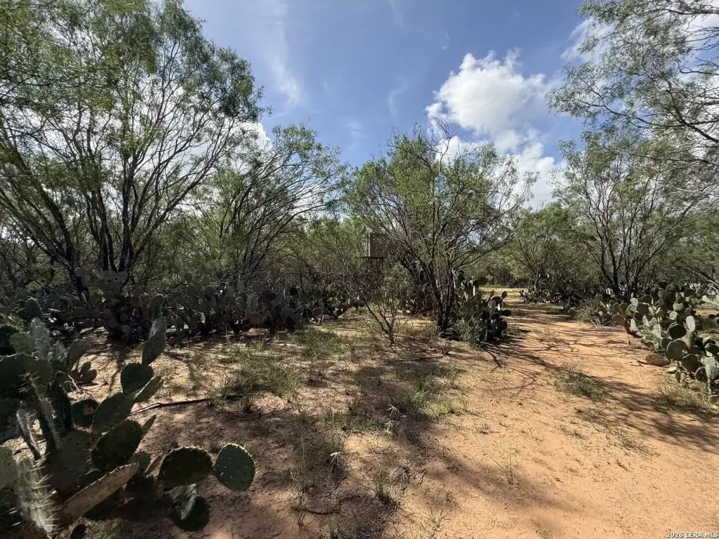 Picture 25