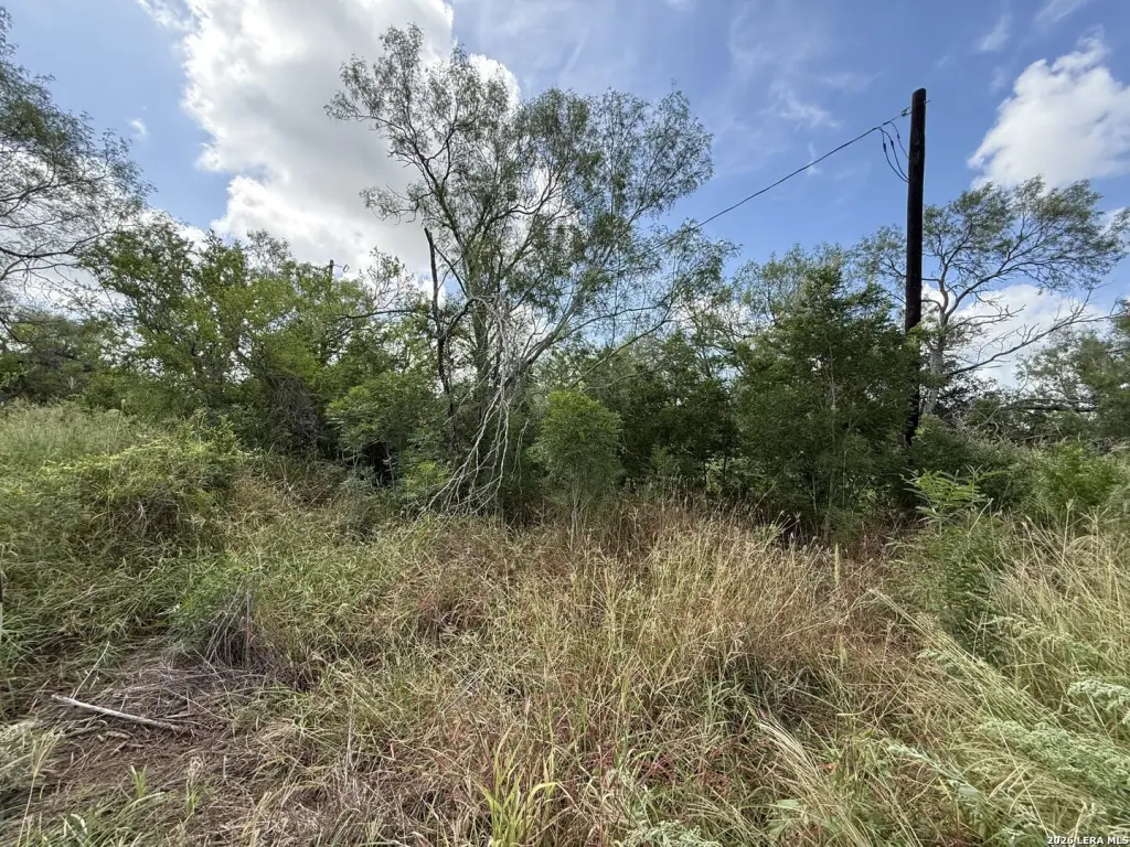 Picture 28