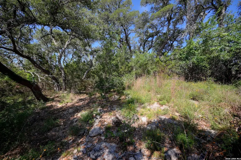 Picture 25