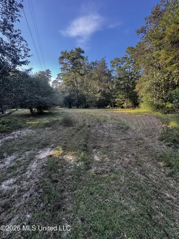 Picture 2