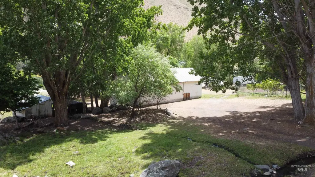 Picture 14