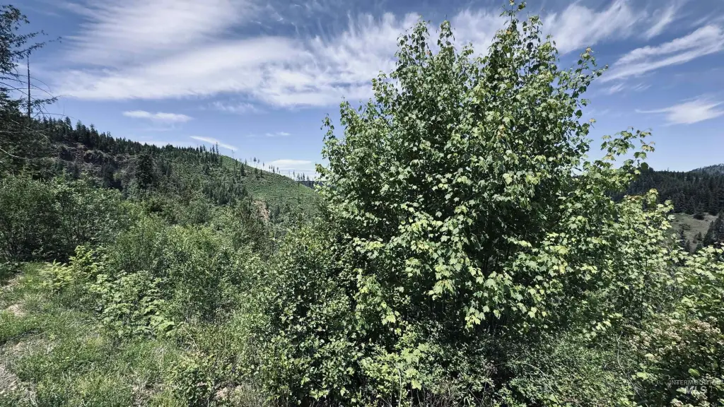 Picture 28
