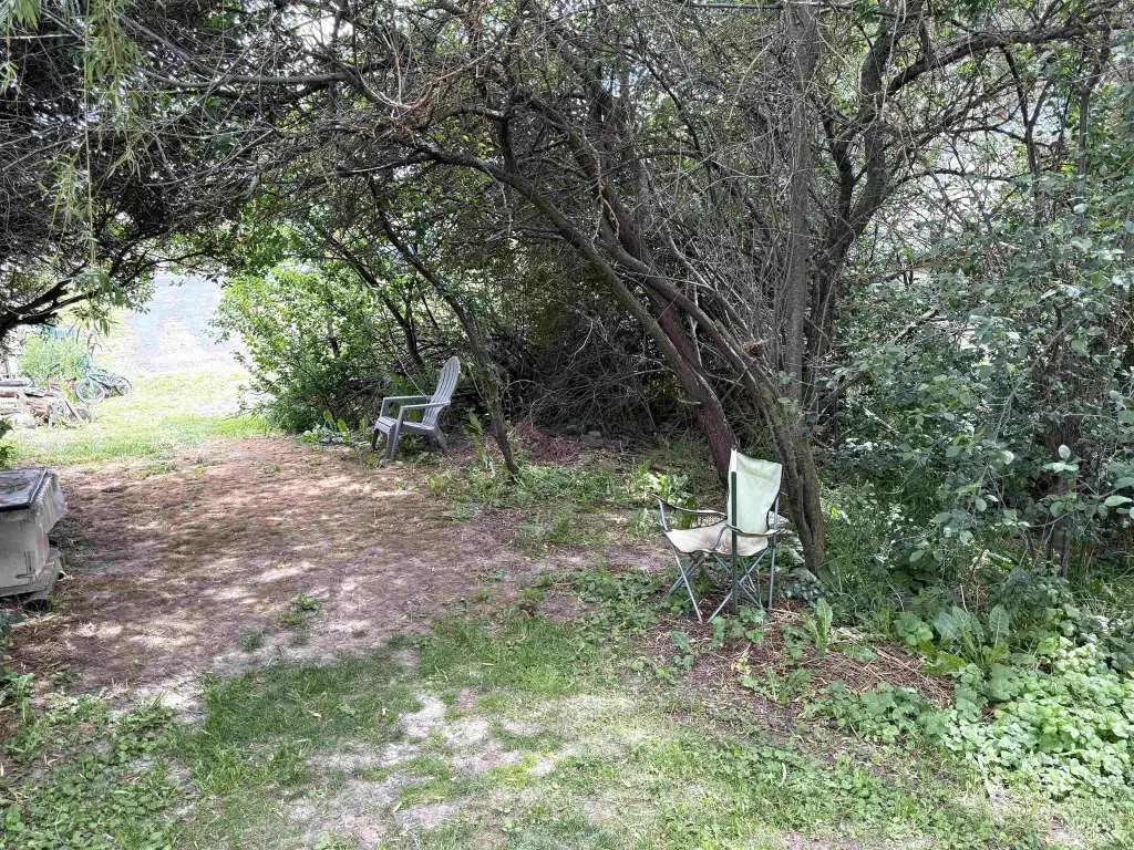Picture 5