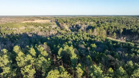 228.8 Acres Near Ben Wheeler, TX