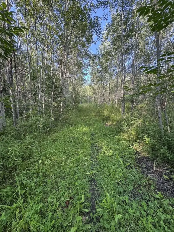 Picture 61