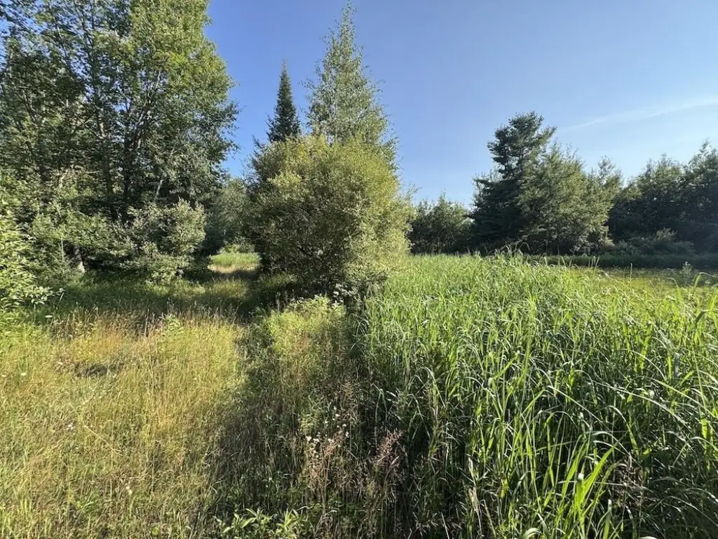 Picture 39