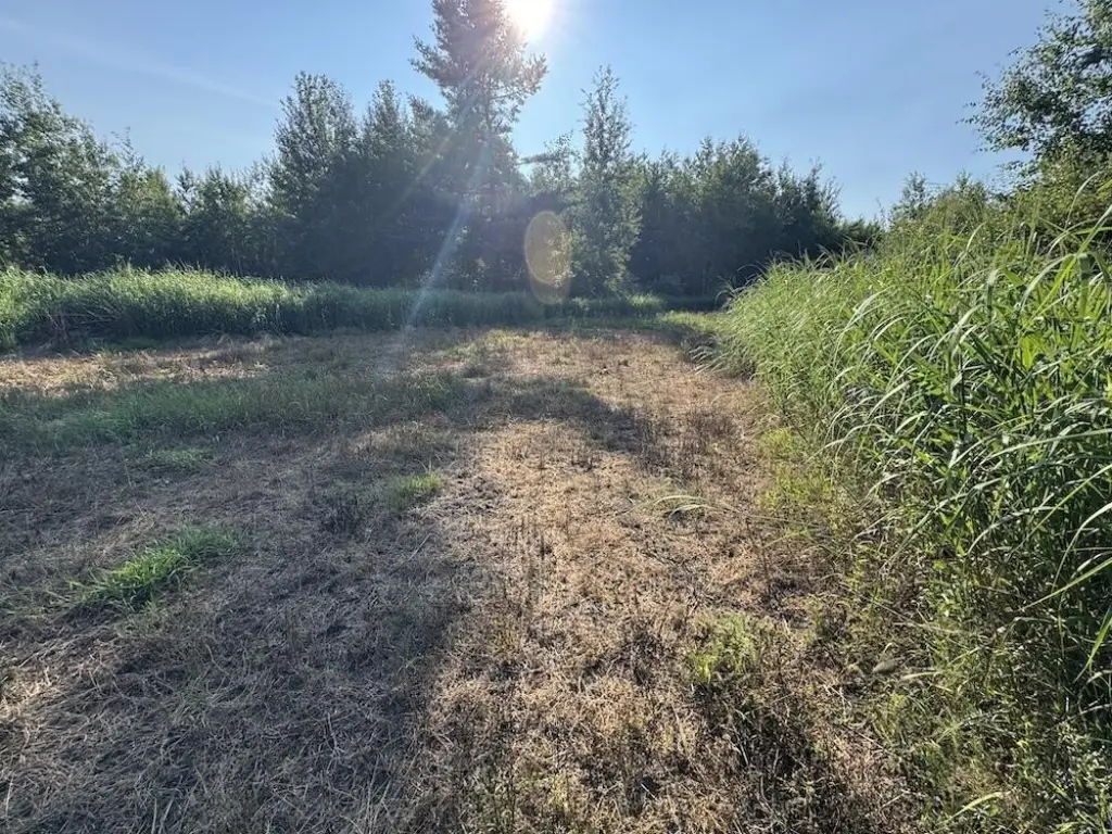 Picture 43