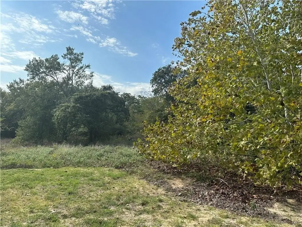 Picture 8