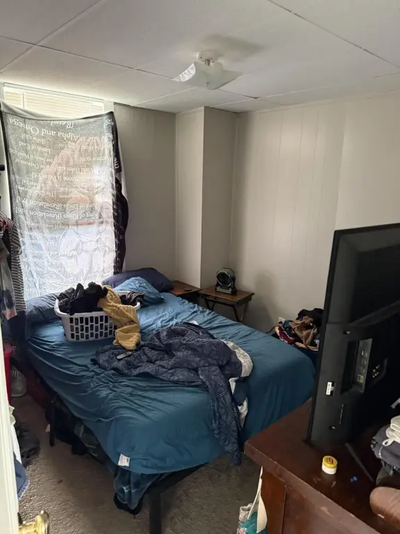 Picture 5