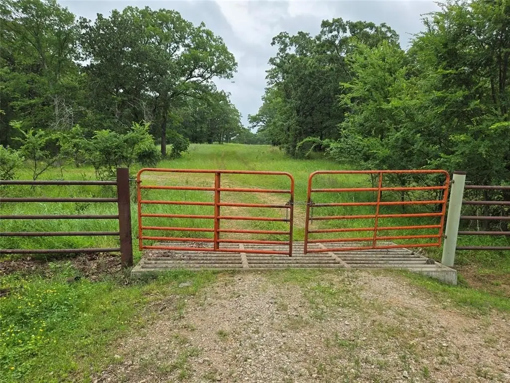 Picture 21