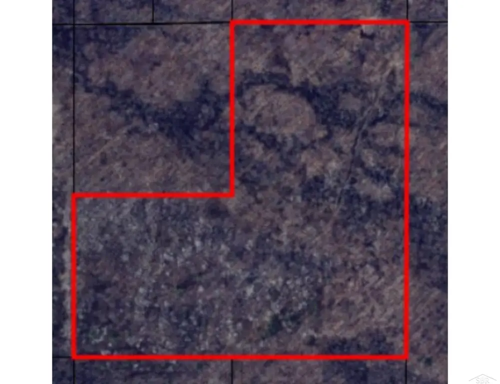 Picture 12