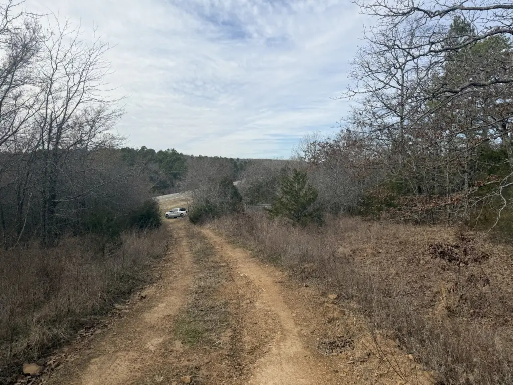 Picture 17