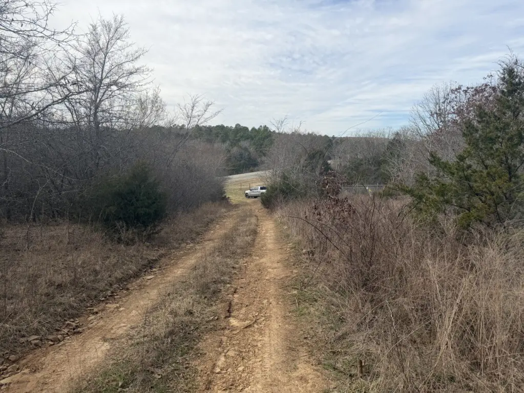 Picture 18