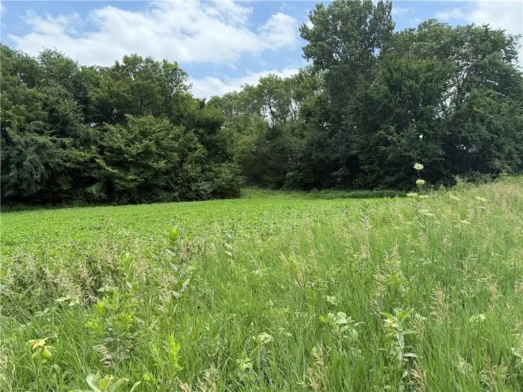 Picture 11