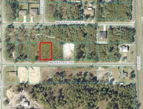 Residential Land in Ocklawaha, Florida