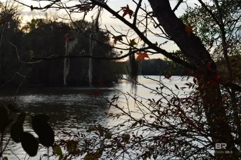 Tensaw Riverfront Land for Sale