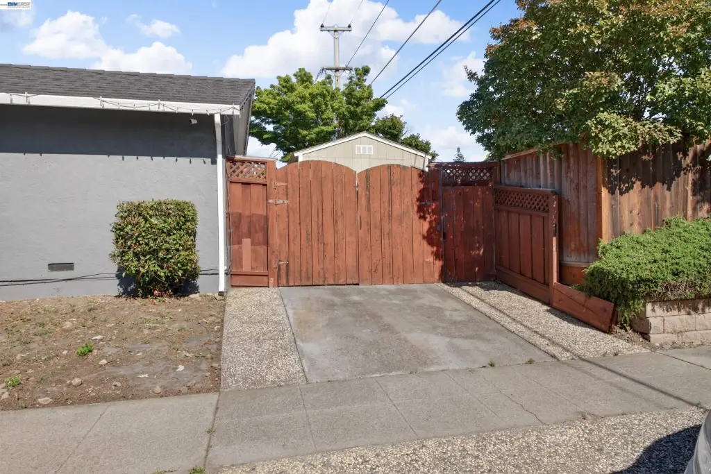 Picture 49