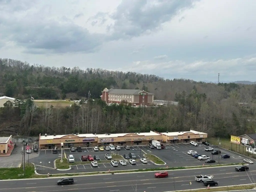Picture 3