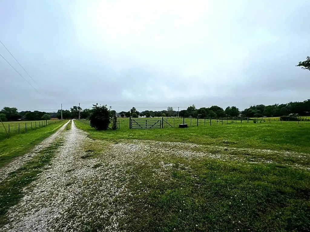 Picture 9