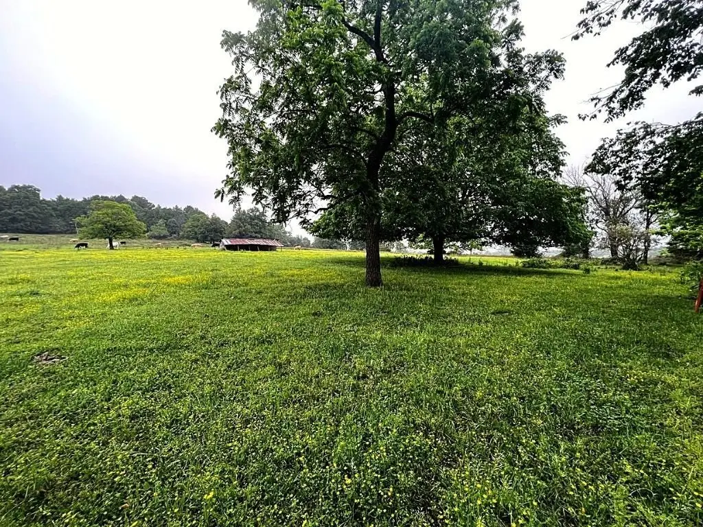 Picture 12