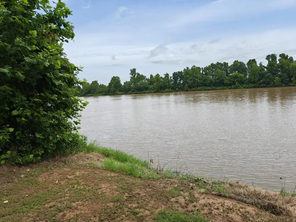 Picture 2