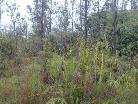 Kurtistown Land For Sale