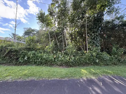 Vacant Lot in Ainaloa Subdivision