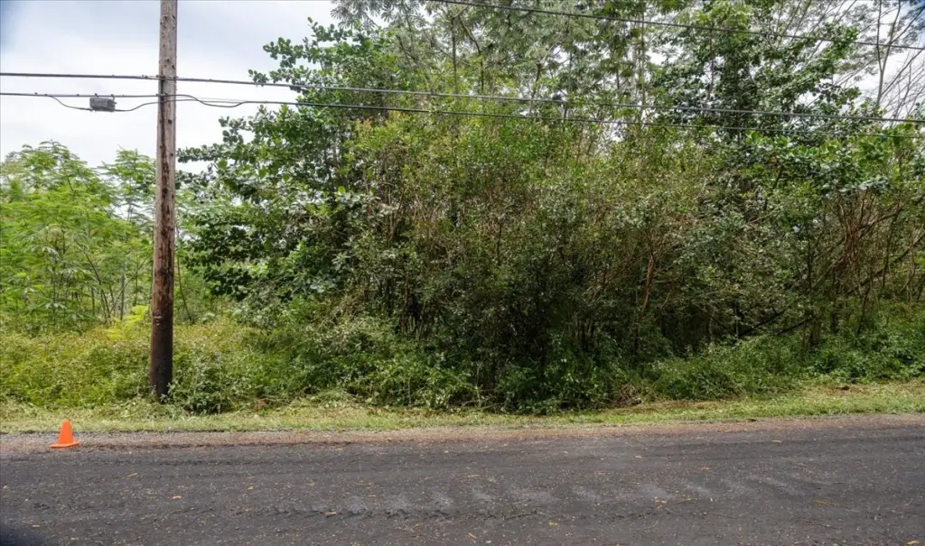 Picture 4