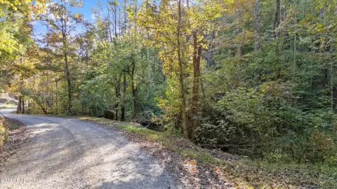 Sevierville Wooded Lot For Sale