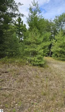 Wooded Lot Near Lake Huron