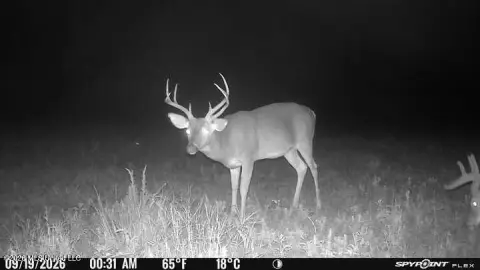 Hunting Land with Campsite
