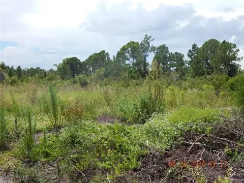 Lehigh Acres Land Opportunity