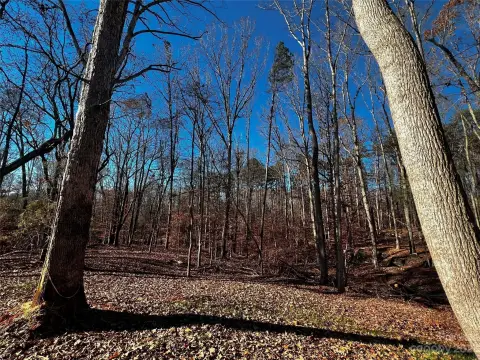 Davidson, NC Land Opportunity