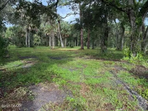 New Smyrna Beach Industrial Land